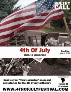 4th Of July Festival – Rotterdam